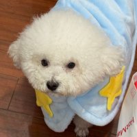 推土机和王泰罗