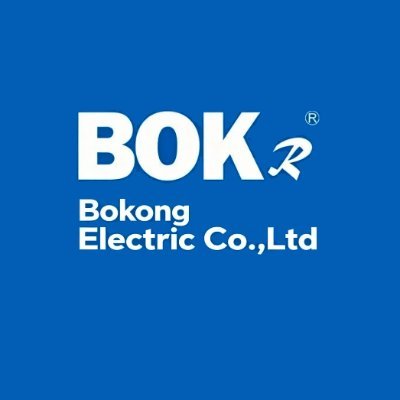 BokongElectric