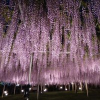 タキ(継続は力なり)