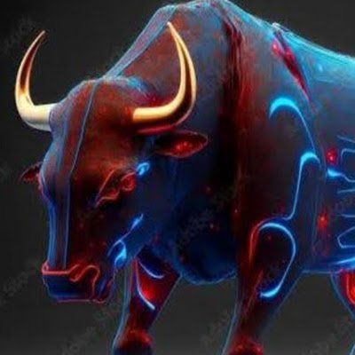 bull bear insight