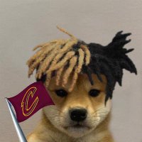 A A Ron (cavs fan account)