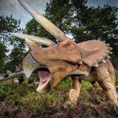 Landmark Forest Adventure Park