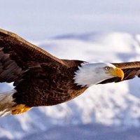 nelly lizama saldaña