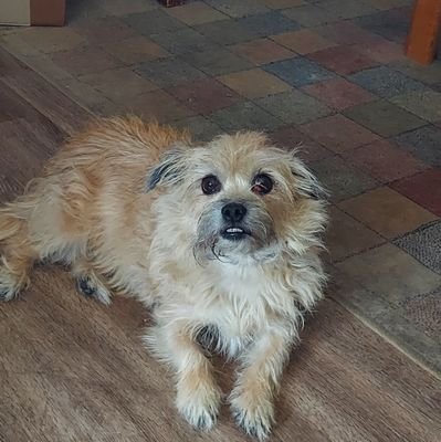 420since1968 🐕✊🌊☮🇺🇲