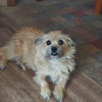 420since1968 🐕✊🌊☮🇺🇲