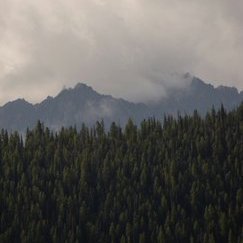 Alba Alvarez Alvarez