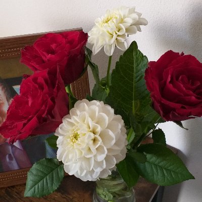 MoonLuchy🇮🇹🇺🇸🇮🇱🇺🇦