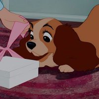 pass and pass / GED RLA / key answer เก็งแม่น 💯