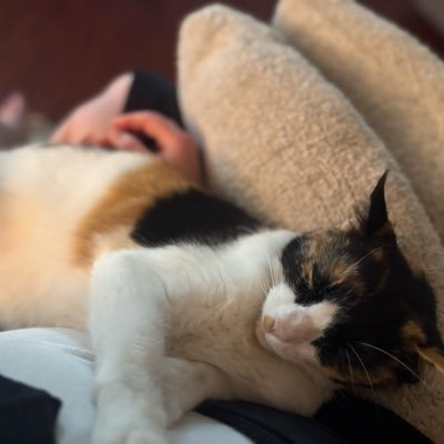 Erica the Ginger Patriot