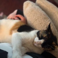 Erica the Ginger Patriot