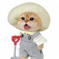 ฉงฉงศรีบุญเรือง🐱☀️