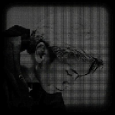 Hujan di Akhir Nopember