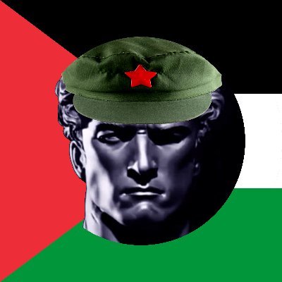 🇵🇸✌️☭