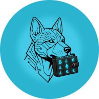Wallitelli - Daily AI Wallet Intelligence