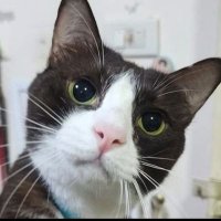 🖤ApPy Life💚🩷