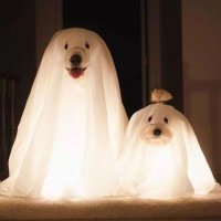 Always beside you. 🌵