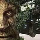 THE TRANS-FEM WIZARDDD!!