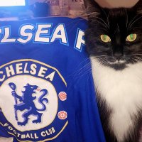 ChelseaScammersAssociation