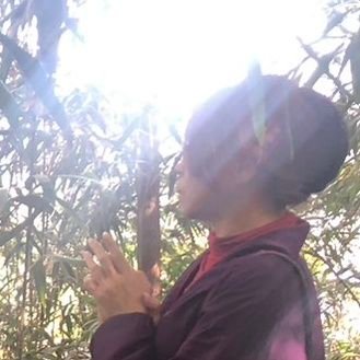 凛(静風)～NATURAL WORLD HEALER～