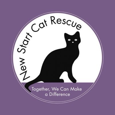 New Start Cat Rescue🐾💜🐾