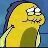 𝓨𝓪𝔂𝓸 𝓟𝓮𝓻𝓲𝓬𝓸 ❄️