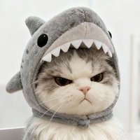 ( 𝐧𝐢𝐩𝐚𝐟𝐨𝐧 ) ˚‧💭˚˟ ˚