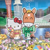 ぴーちゃ(ぴーちゃん)🐥