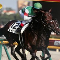 レイデオロ産駒応援団