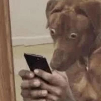 Protein Synthesis and Cellular Repair