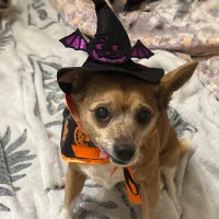 Aurora ⸆⸉ misses Liam ❯❯❯❯