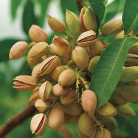 Mirtha Ruiz Roman 💜