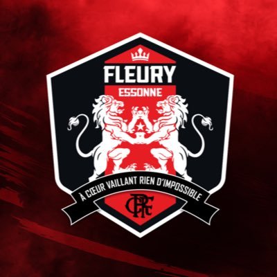 FC Fleury 91
