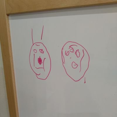 コーダー@菊さん