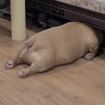 Boyfriend Boy Pringledick