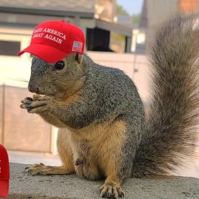 Vinnie 🇺🇲 🇦🇲