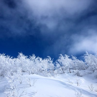 ゆきぞら❄️🧢