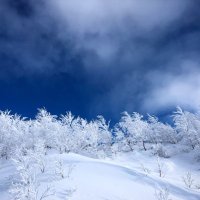 ゆきぞら❄️🧢