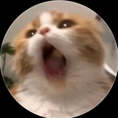 _ ʜʏᴇᴇʀ ◡̈ 🍒✨