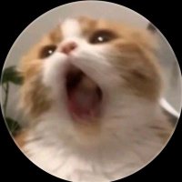 _ ʜʏᴇᴇʀ ◡̈ 🍒✨