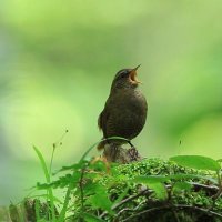 Deetweds 🇺🇦🌻😷