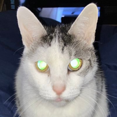 みみすい🍁🔥