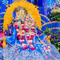 Tapan Kumar Das 🐦