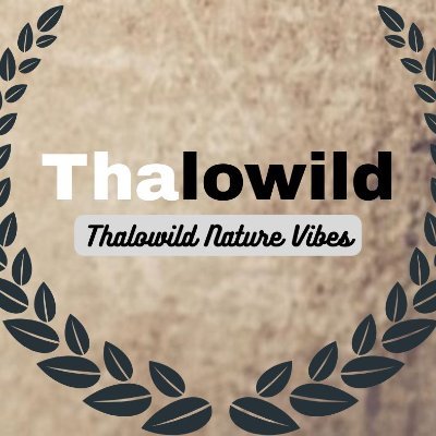 Thalowild Nature