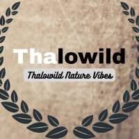 Thalowild Nature