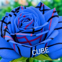 💎キューブ🌈🪡🧵❤️💙💛💚🧡🤎💎*:'°☆