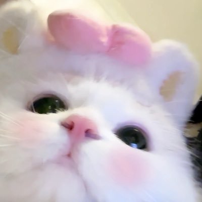 𝒘𝒊𝒕𝒉 𝒍𝒐𝒗𝒆₊♡