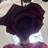 I Am Not DANNY 𐚁 ☆▷