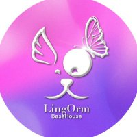 LingOrm_BaseHouse