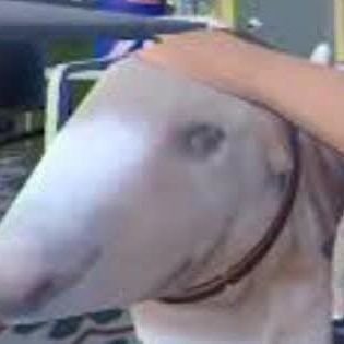 bánh mì chấm nước lọc😛