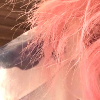 しんあ。⚡️🏮🥁🍜🏌️